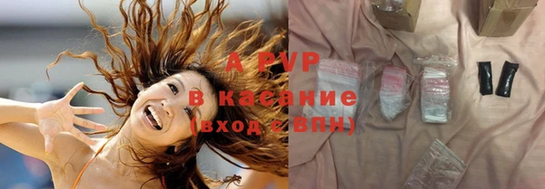 спайс Богданович