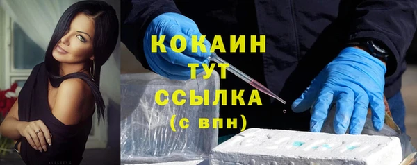 прущие грибы Богородск