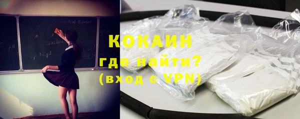 спайс Богданович