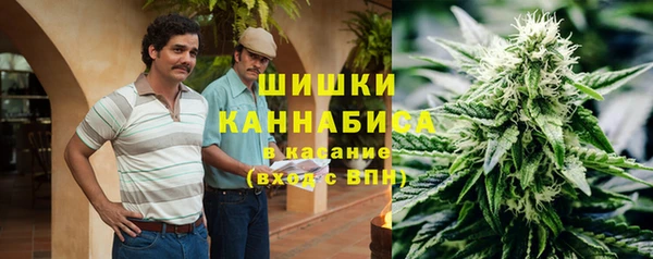 спайс Богданович