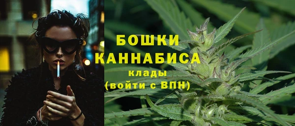 прущие грибы Богородск