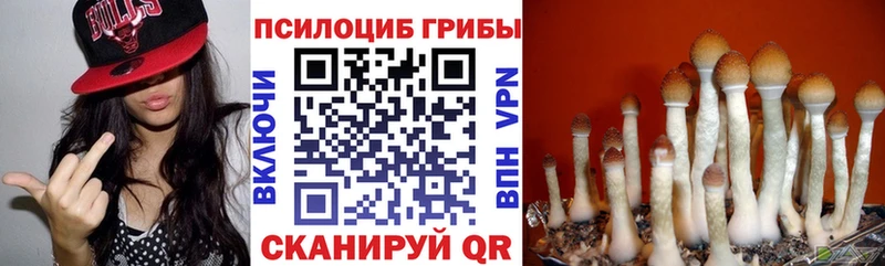 Галлюциногенные грибы мухоморы  Белогорск 